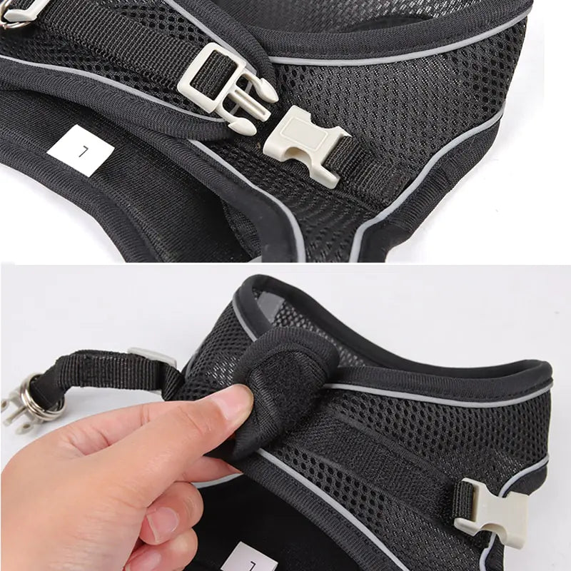 Cute Dog Harness