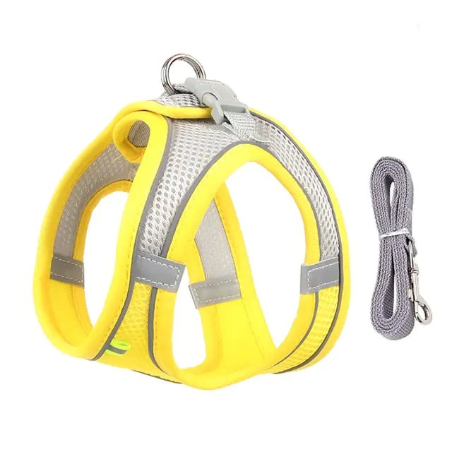 Cute Dog Harness