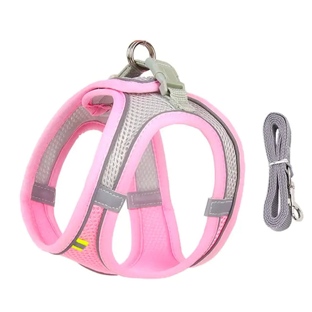 Cute Dog Harness