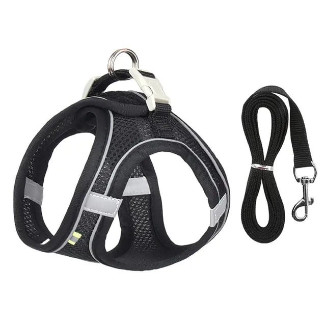 Cute Dog Harness