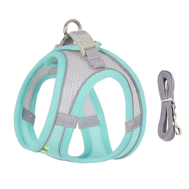 Cute Dog Harness