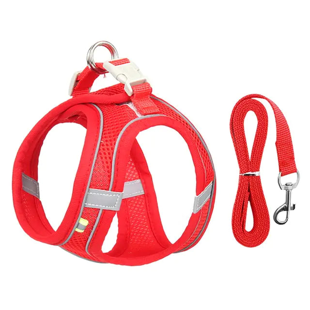 Cute Dog Harness